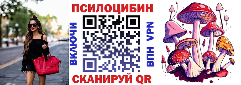 Псилоцибиновые грибы Psilocybine cubensis  Купить где  Старая Купавна 