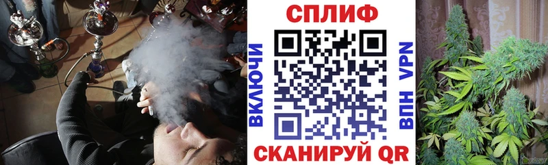 Канабис VHQ  Купить закладки  Старая Купавна 